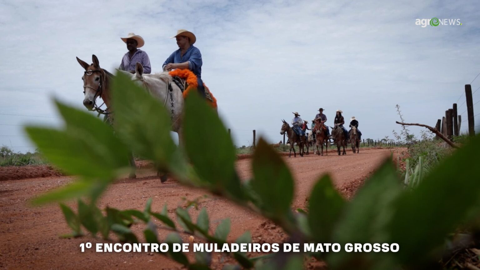 Encontro De Muladeiros