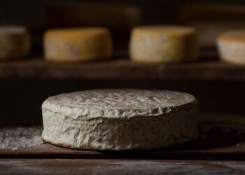 MG é o 1° estado a formalizar o queijo artesanal com casca florida