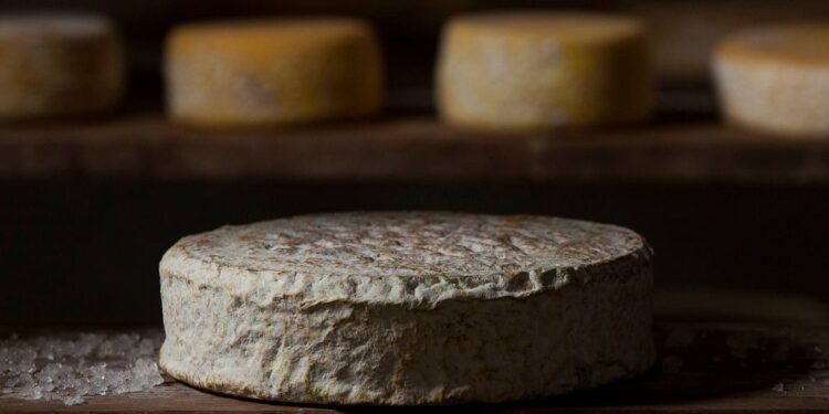 MG é o 1° estado a formalizar o queijo artesanal com casca florida