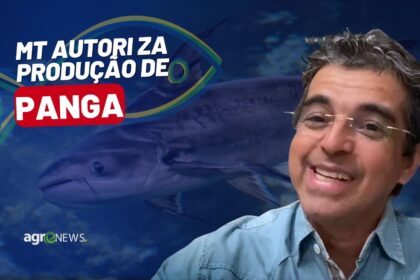 Mercado do Peixe 03 de dezembro 2022, Mato Grosso aprova produção de Panga