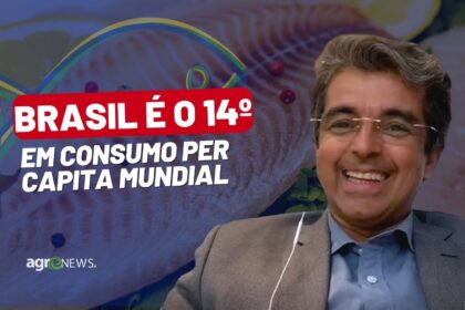 Mercado do Peixe 10 de dezembro 2022, Brasil e o consumo per capita