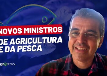 Mercado do Peixe 31 de dezembro 2022, novos ministros escolhidos