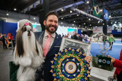 Shih Tzu é eleito o Melhor Cão do Mundo em 2022