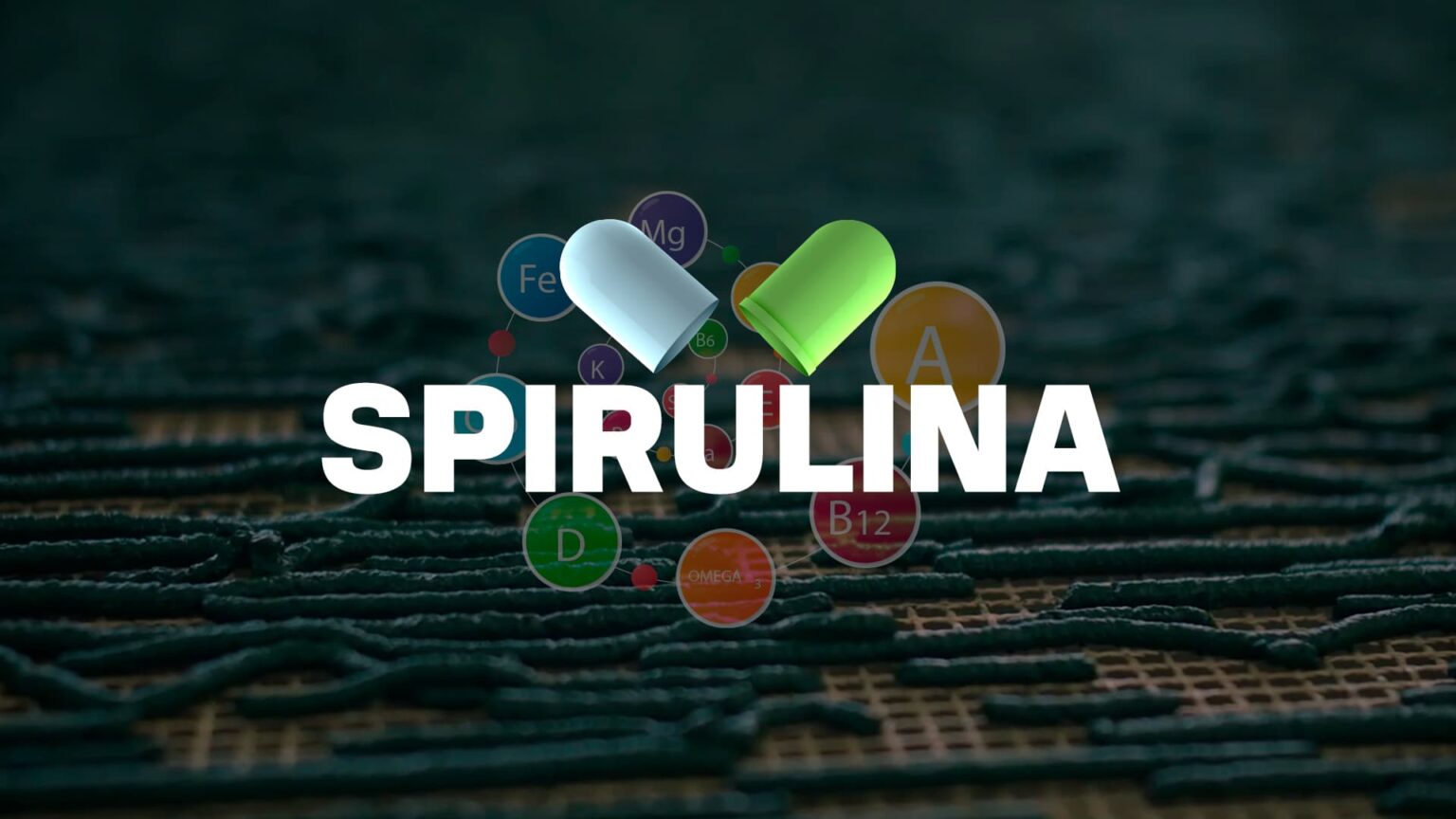 Spirulina, alimento usado pela NASA e produzido em MT