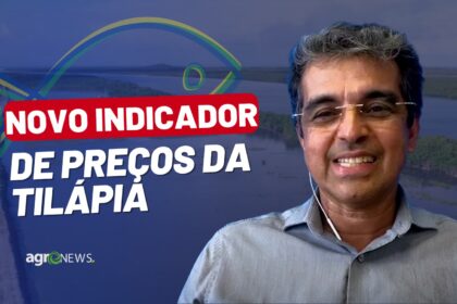 Mercado do Peixe 28 de janeiro 2023, novo indicador de tilápia em MG