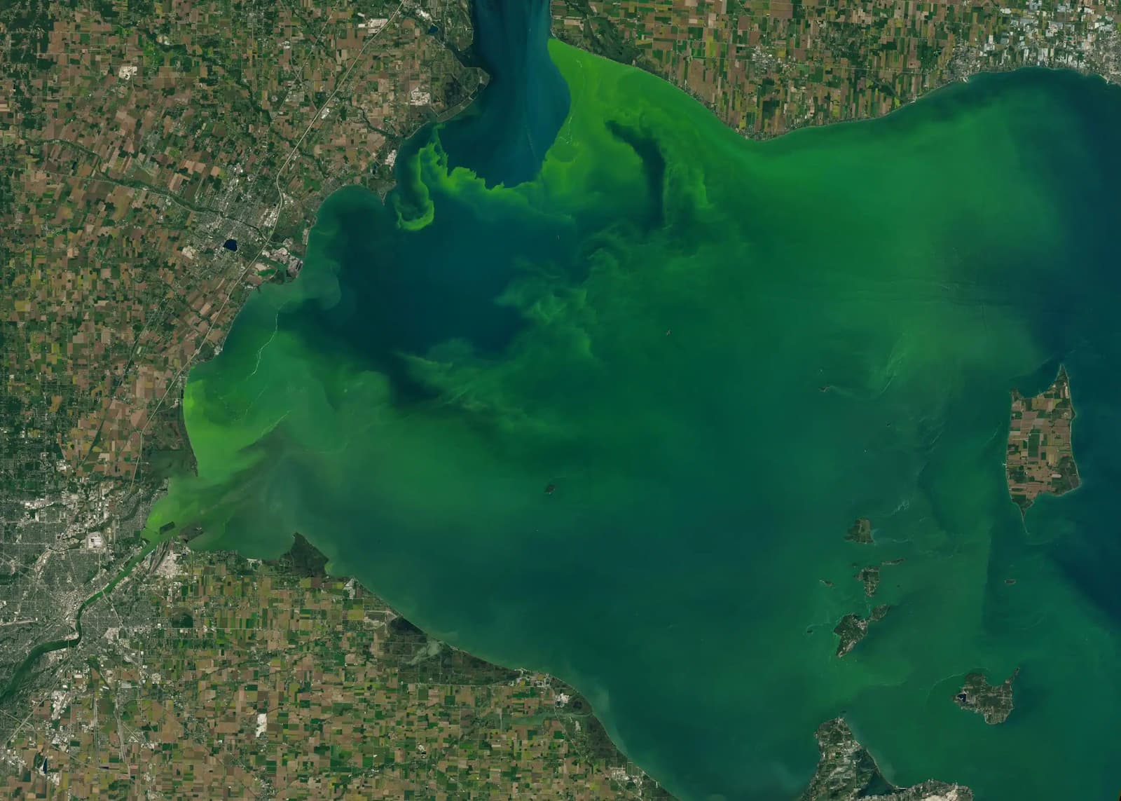 NASA vai pagar mais de R$ 150 mil para quem identificar algas tóxicas em fotos