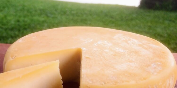 Dia do queijo: 7 conquistas do setor queijeiro em Minas