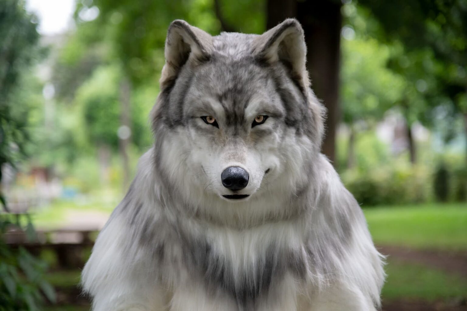 Furry de homem-lobo custou mais de R$ 130 mil