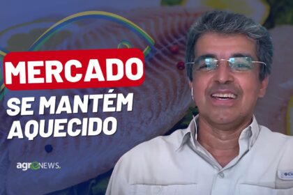 Mercado do Peixe 04 de Fevereiro 2023, novo indicador da tilápia está valendo