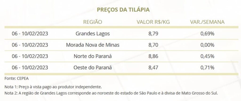 Mercado do Peixe 11 de fevereiro 2023, Ministro de Uganda é recebido pela Peixe BR