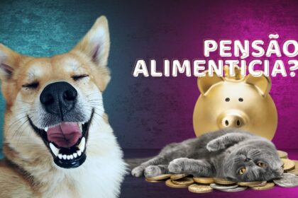 PL propõe Pensão Alimentícia para Pets, proposta tramita na Câmara