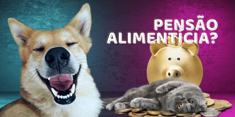 PL propõe Pensão Alimentícia para Pets, proposta tramita na Câmara