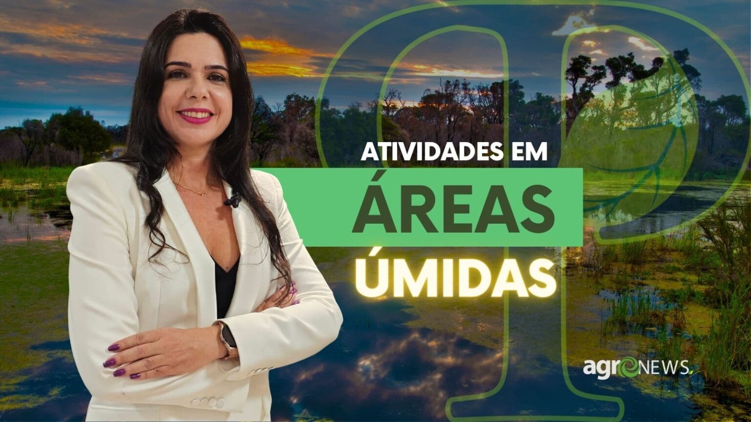 Acp Impede Atividades E Empreendimentos Em Areas Umidas De Mt