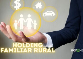 Organização e Profissionalização do Agro: Benefícios da Holding Familiar Rural