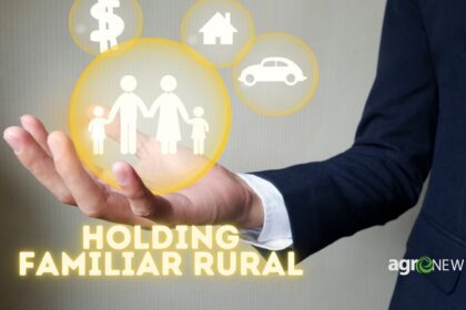 Organização e Profissionalização do Agro: Benefícios da Holding Familiar Rural