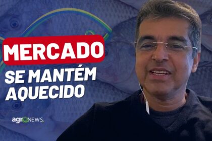 Mercado do Peixe 18 de março 2023, indicadores apontam alta