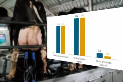 Produção vegetal cresce 14,2% em 2023, enquanto produção animal apenas 0,8%