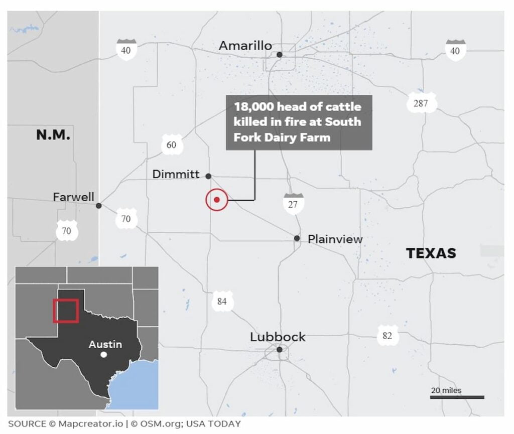 Fatalidade! Explosão mata cerca de 18 mil vacas em fazenda de laticínios no Texas