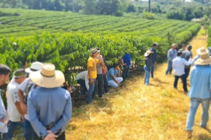 Agricultura Familiar: Comitiva de MT viaja até Rondônia para conhecer produção de café e leite