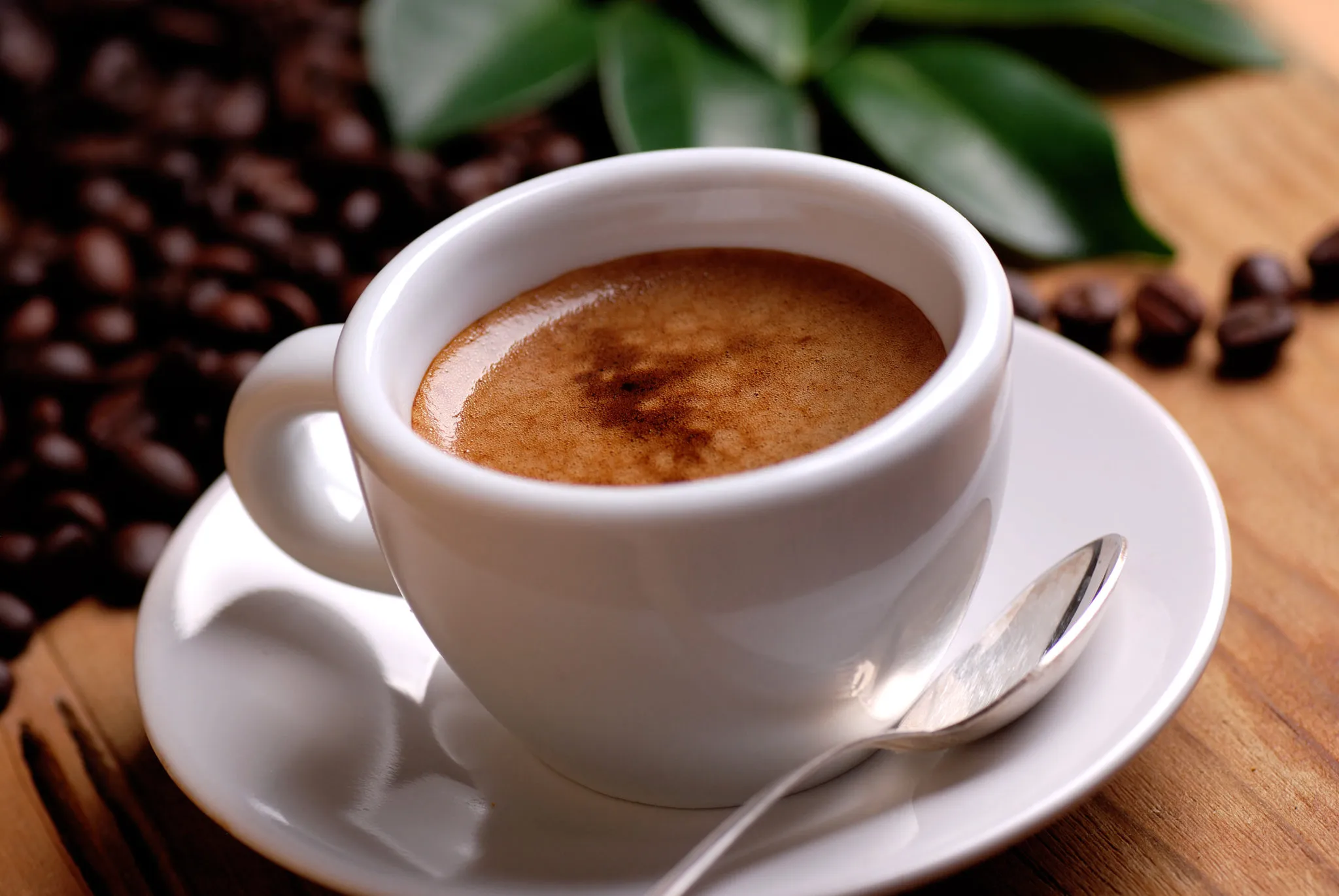 10 curiosidades sobre o café (Foto: Internet)