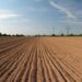 Plantio da soja iniciará dia 25 de setembro em Goiás
