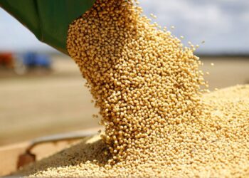 grãos mercado da soja g20 Cédulas de Produto Rural