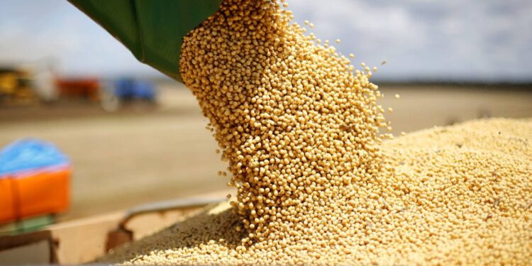 grãos mercado da soja g20 Cédulas de Produto Rural