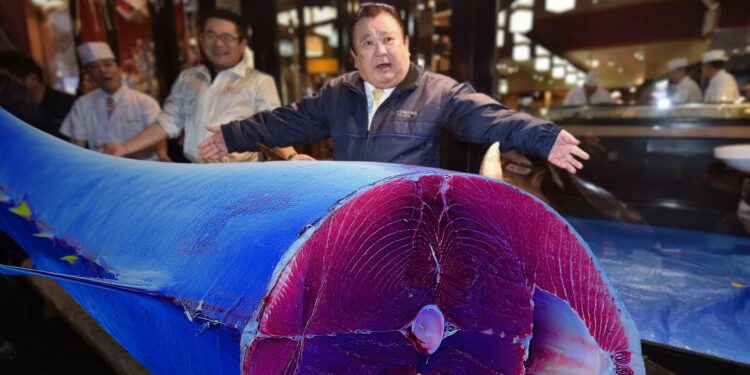 Atum Azul, peixe mais caro do mundo foi vendido por R$ 14 milhões