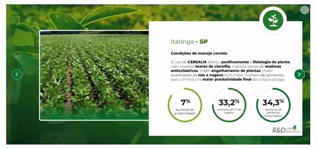 inovação brasileira gera alta produtividade da soja e combate ameaças do milho
