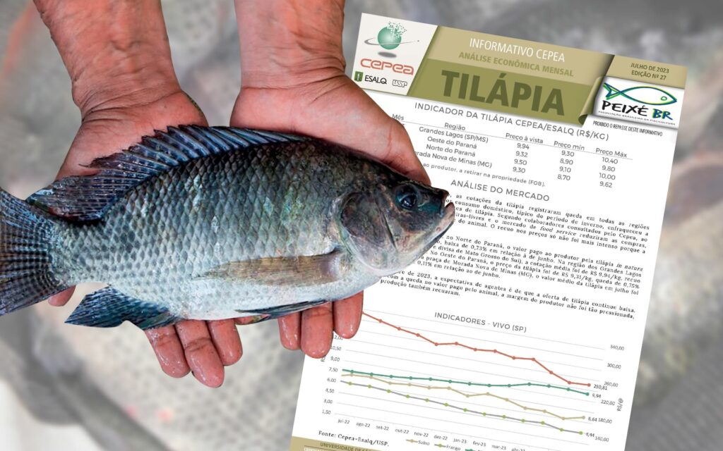 Mercado de peixes com variações e expectativas de melhores preços