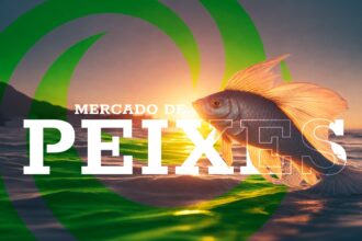 Mercado De Peixes Agronews