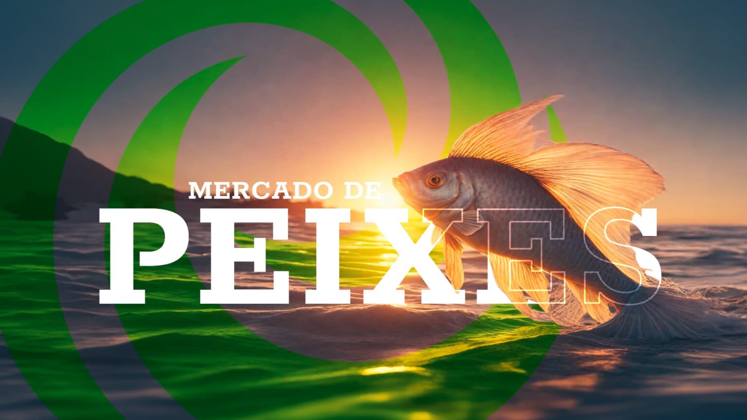 Mercado de peixes na semana 18 de fevereiro 2024