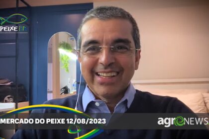 Mercado de peixes com variações e expectativas de melhores preços