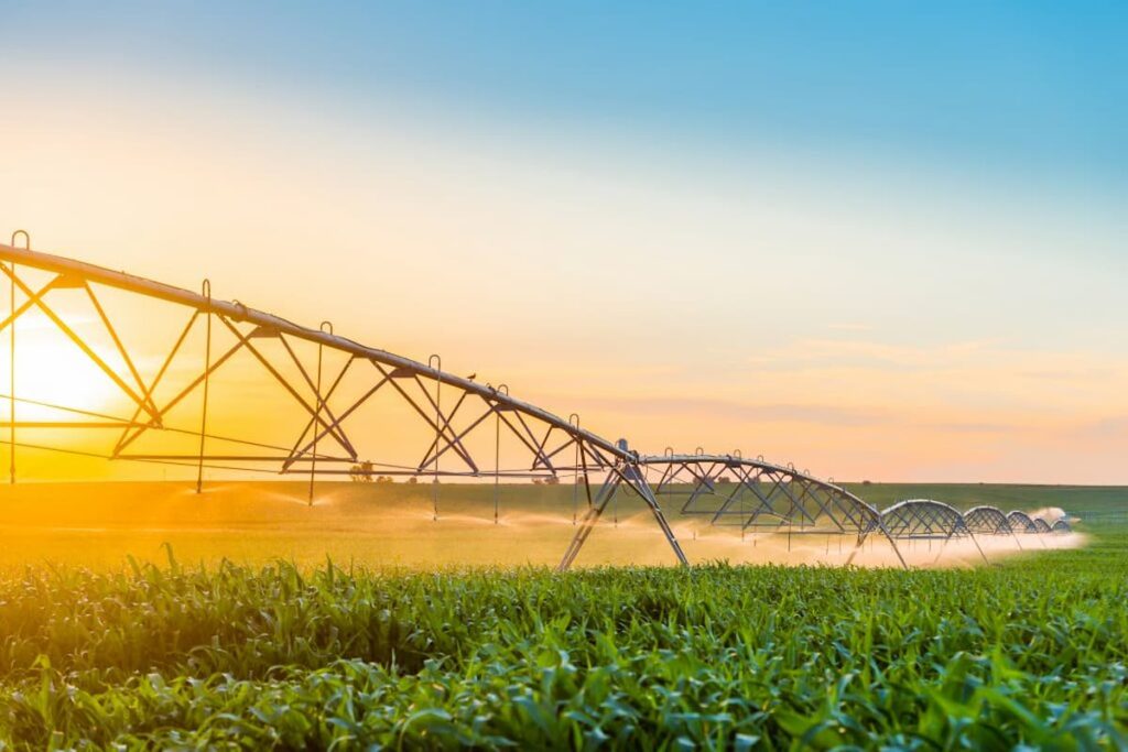 Explorando novas fronteiras da agricultura irrigada em Mato Grosso