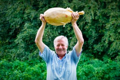 Com 9kg, Cebola Gigante pode entrar para o Guinness Book