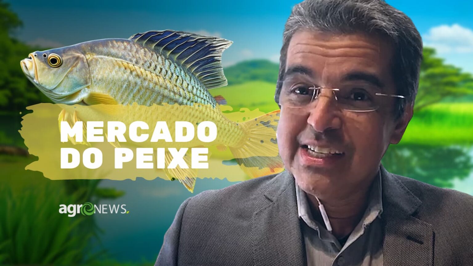 Mercado De Peixes 1