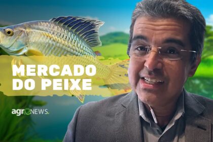 Tendências no Mercado de Peixes de cultivo no Brasil