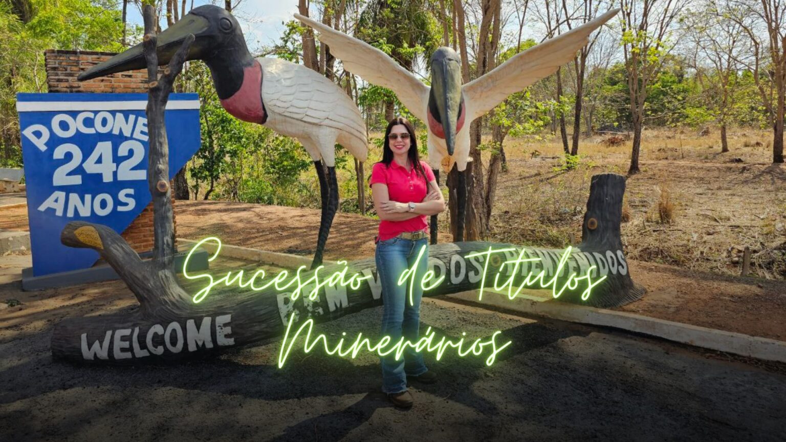 A Sucessão de Títulos Minerários e o cenário Jurídico Brasileiro