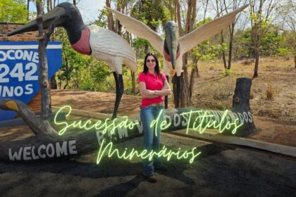 A Sucessão de Títulos Minerários e o cenário Jurídico Brasileiro