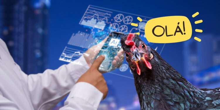 Da fazenda para o laboratório: conheça a IA e o surpreendente "tradutor de galinhas"