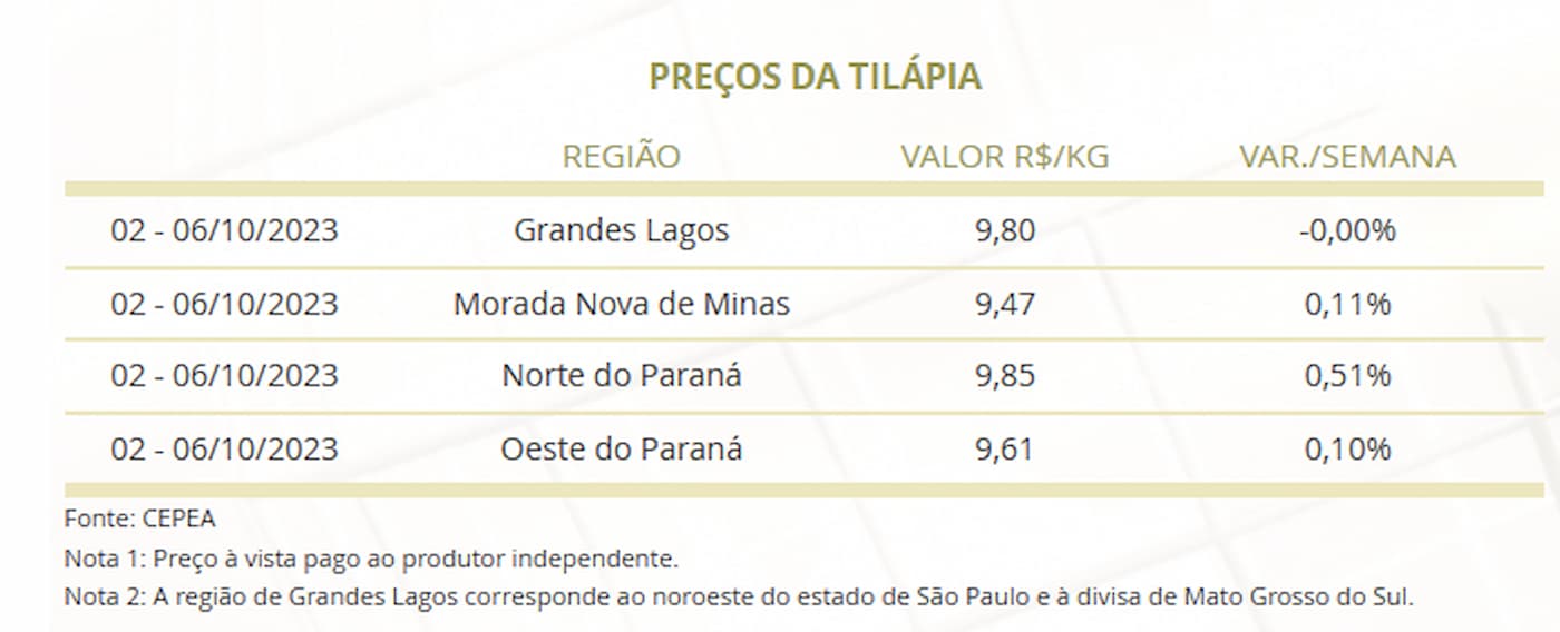 Mercado de tilápia com variações e desafios nessa semana