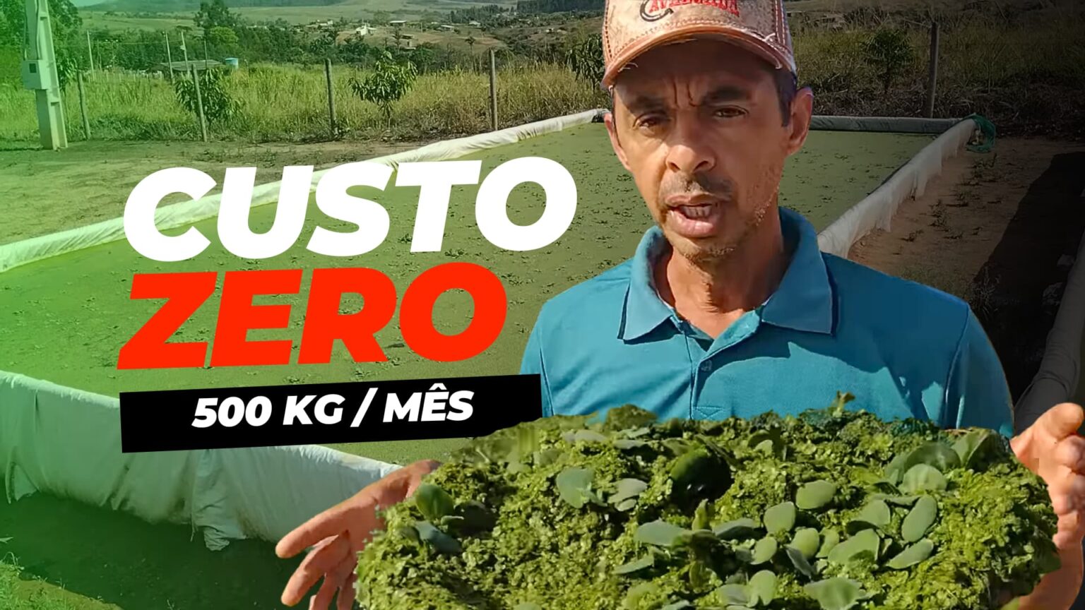 Produtor revela técnica para produzir 500 kg de alimentos por mês a custo zero