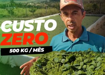 Produtor revela técnica para produzir 500 kg de alimentos por mês a custo zero