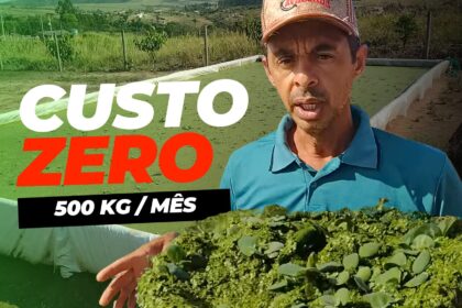 Produtor revela técnica para produzir 500 kg de alimentos por mês a custo zero