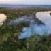 Pantanal: Veja o trabalho de resgate de animais feridos por incêndios