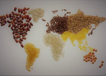 Mapa encerra encontro de adidos com mensagem de fortalecimento do agro brasileiro no mundo
