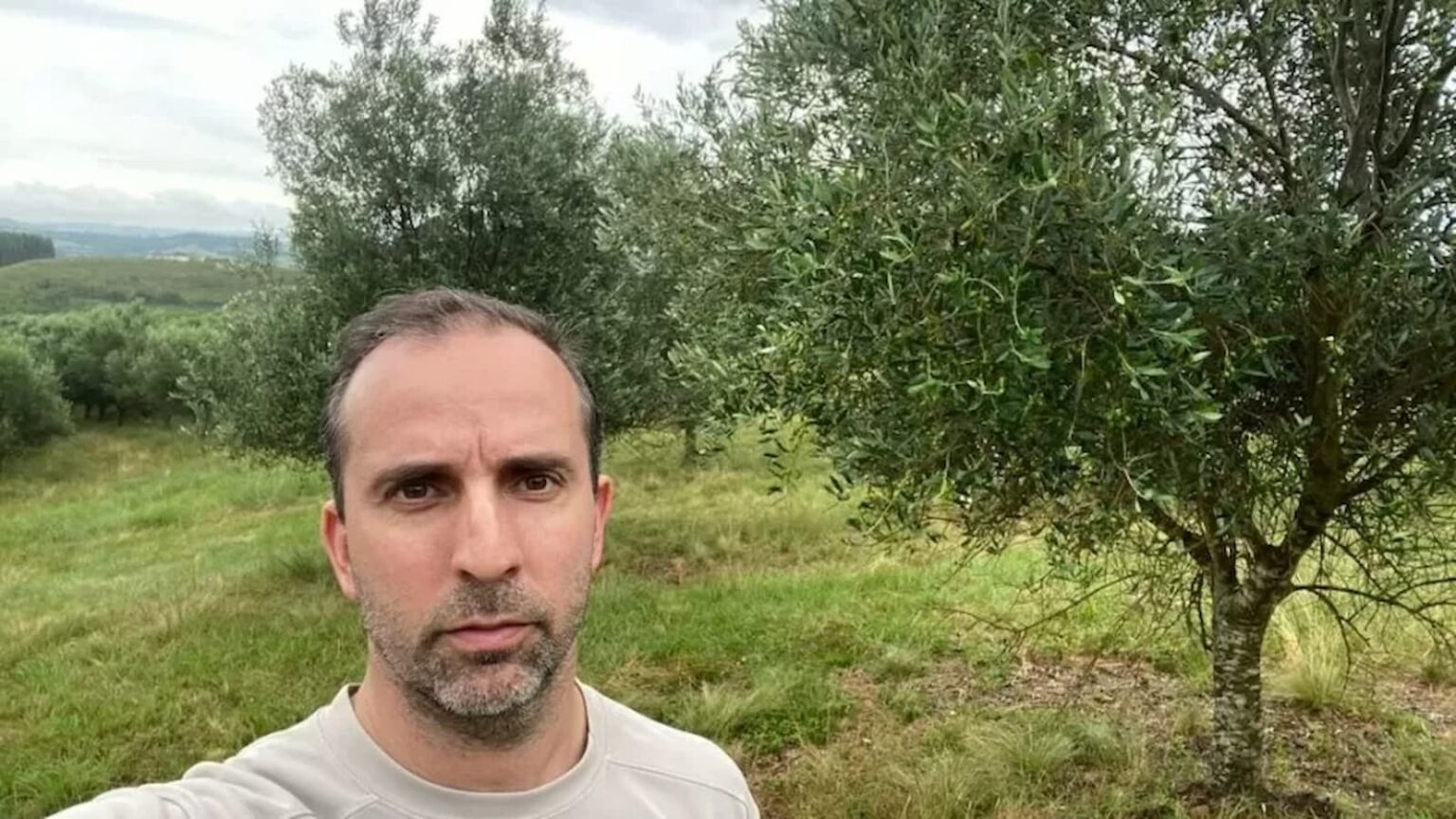 Azeite de oliva deve ficar mais caro em 2024, produtor perde 90% da safra - agronews