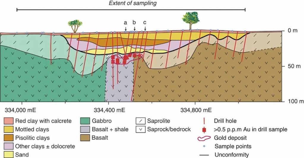 Cientistas descobrem ouro brotando em árvores