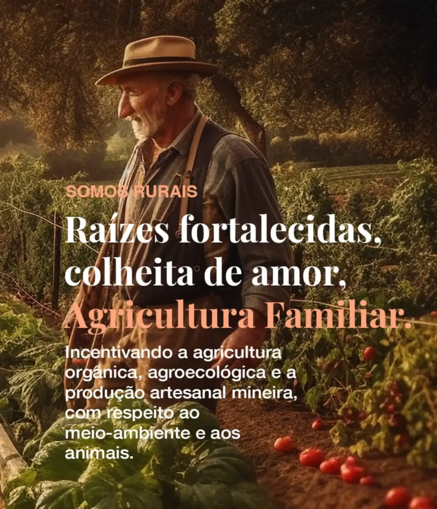 É do Campo: Plataforma online para venda de produtos da agricultura familiar