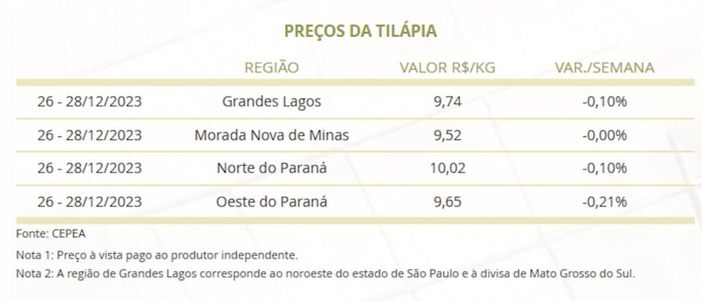 Mercado de peixes: Final de ano e tendências para 2024